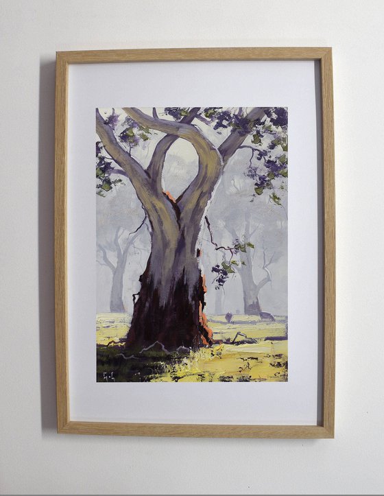 Australian Bush Landscape with Gum Tree