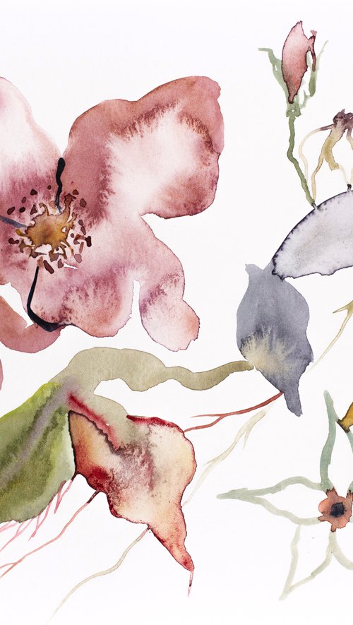 Rose Study No. 59 by Elizabeth Becker