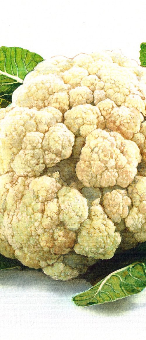 Cauliflower II by REME Jr.