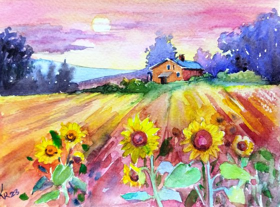 Sunset over sunflower farm