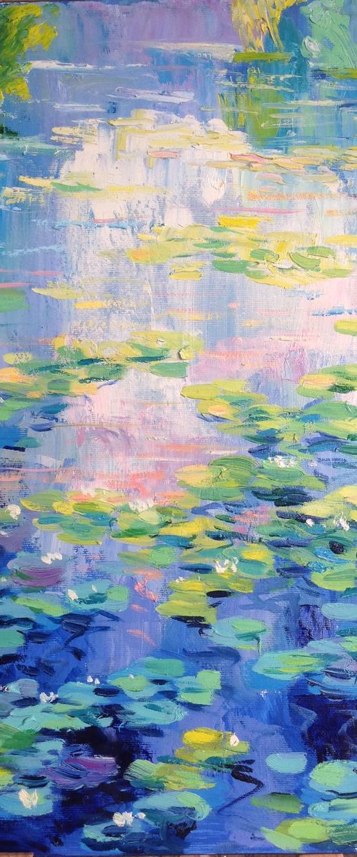 Sunrise  over the waterlilies pond by Nataliia Nosyk