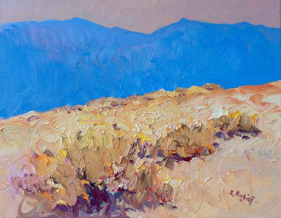 Desert