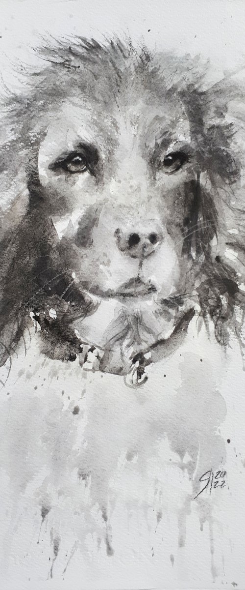 English Springer Spaniel / FROM THE ANIMAL PORTRAITS SERIES / ORIGINAL PAINTING by Salana Art Gallery