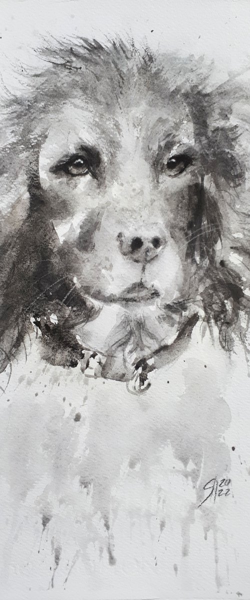 English Springer Spaniel / FROM THE ANIMAL PORTRAITS SERIES / ORIGINAL PAINTING by Salana Art