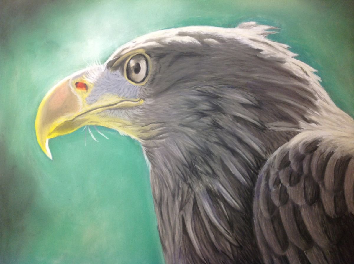 Eagle by Tina Hickman