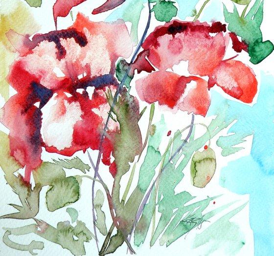 Poppy II