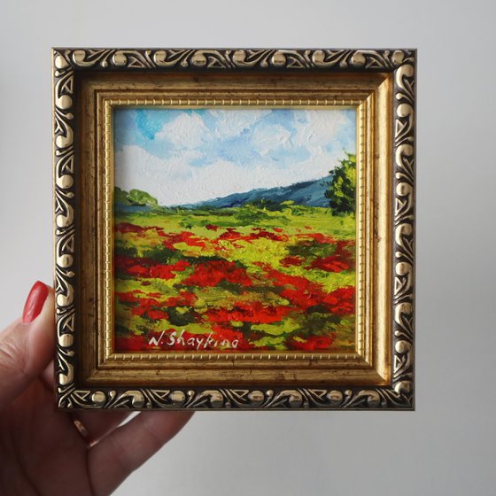 Red Poppy Field and Sky