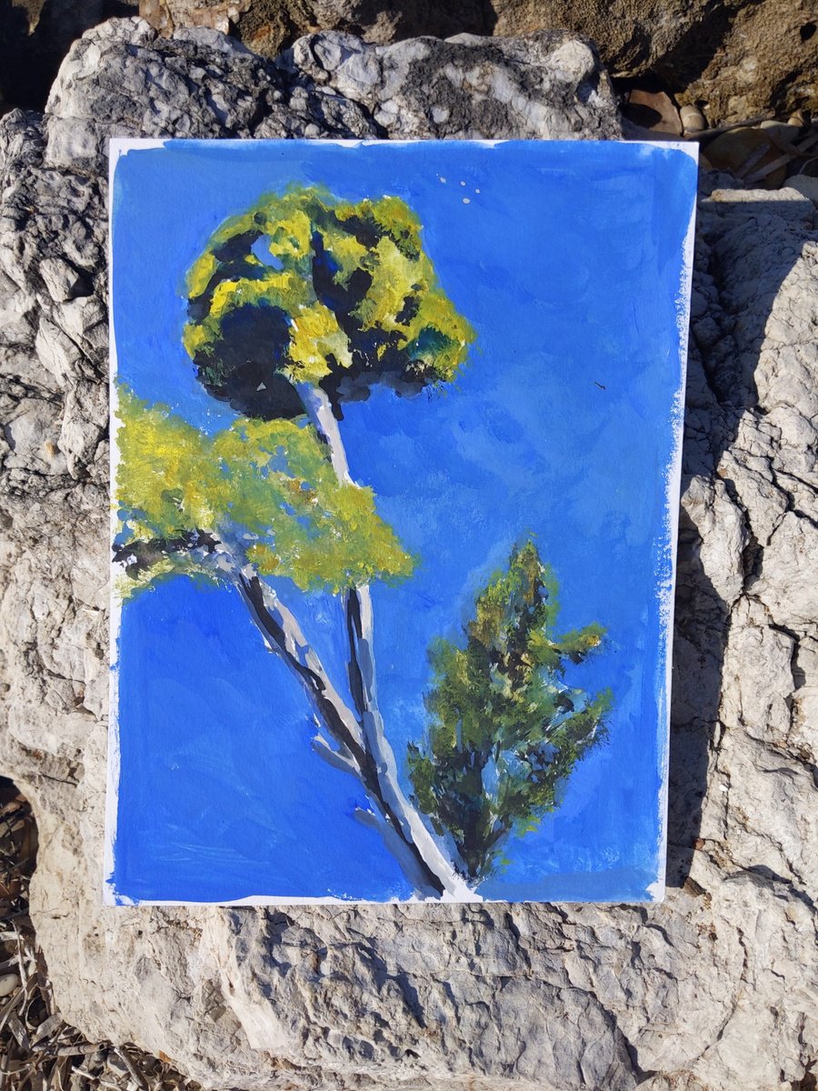 Pines of Corfu island - Greece - original watercolor painting - pine trees by Anna Brazhnikova