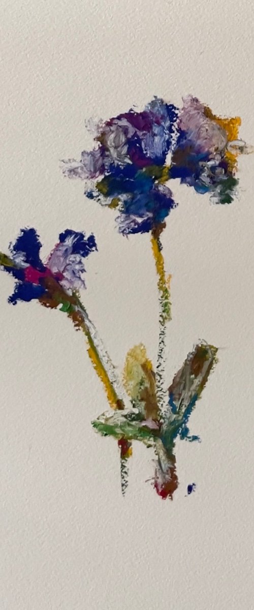 Violet by DIF | Diletta Innocenti Fagni