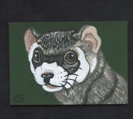 ACEO ATC Original Painting Ferret Pet Rodent Art-Carla Smale