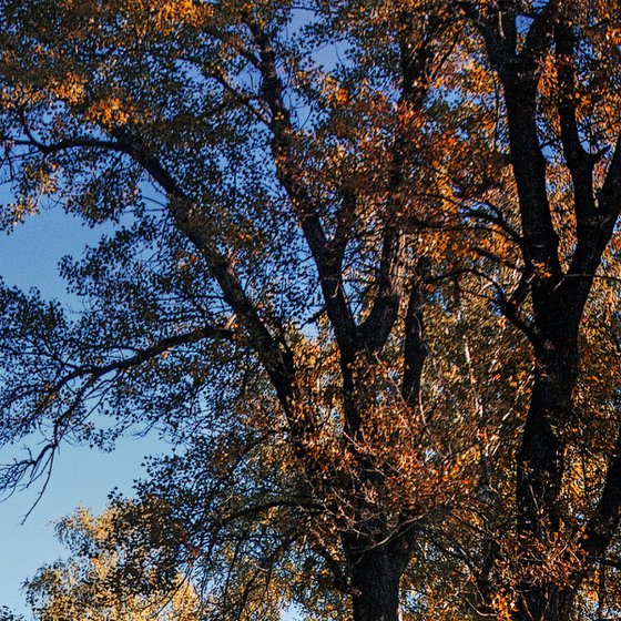 Autumn in the park.