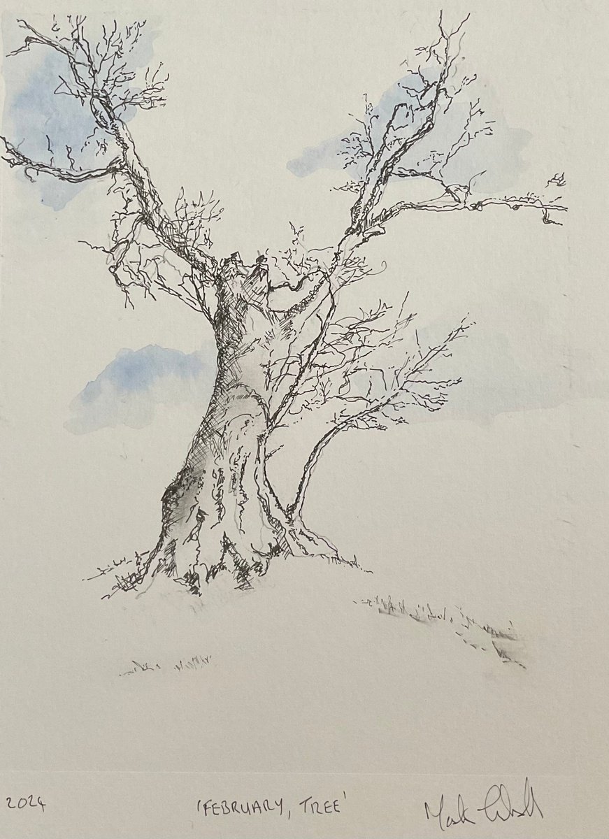 February, Tree by Mark Thirlwell