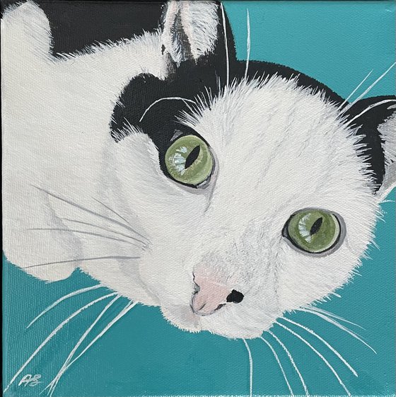 Cat custom portrait
