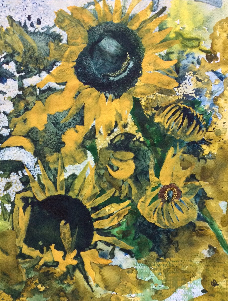 Sunflower bloom by Gwen Fleming