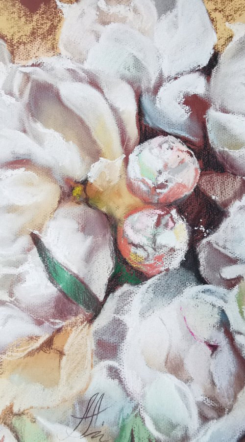 Peonies large drawing on paper, Flowers painting by Annet Loginova