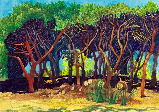 Pine Trees