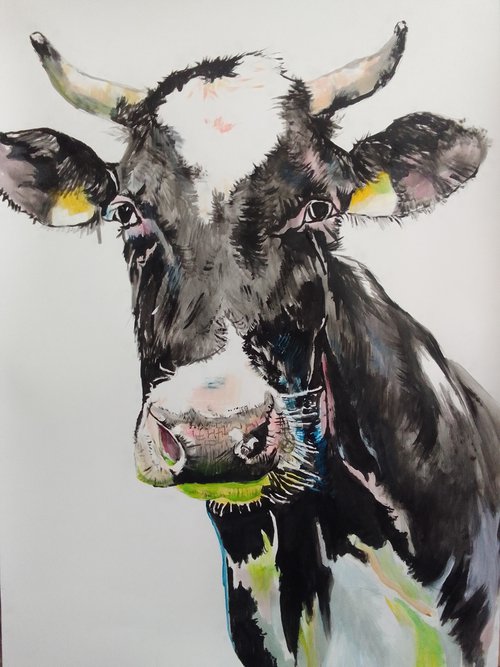 Cow by Soso Kumsiashvili