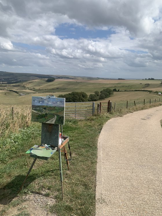 The Downs near Steyning.