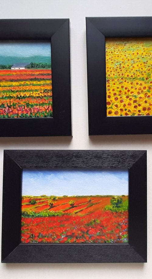 Set of Three Floral Meadows by Asha Shenoy