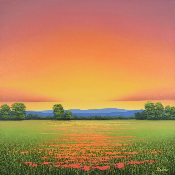 Poppy Field Sunset