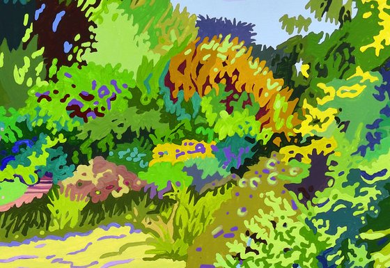 Lily Pond #7