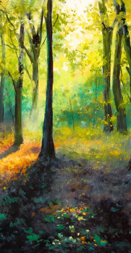 'Magic forest' by Lucia Verdejo
