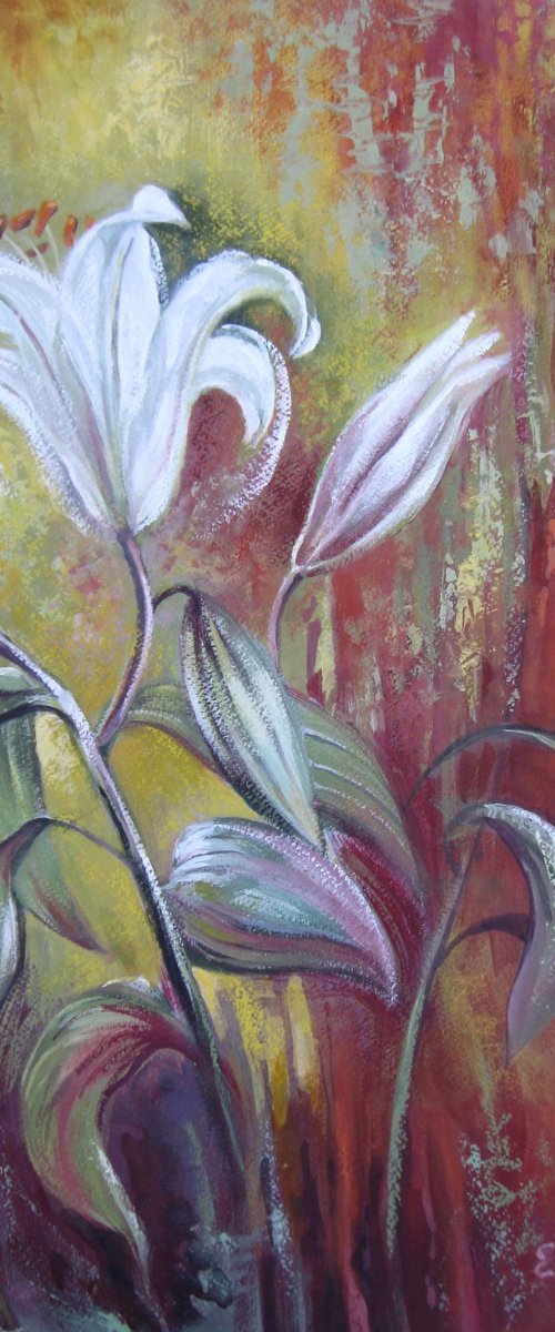 White lily by Elena Oleniuc