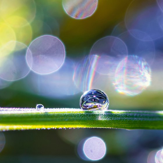 Shine - Studio Edition