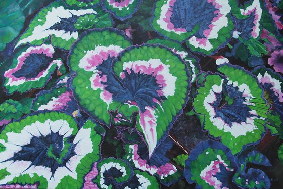 Floral Series 13