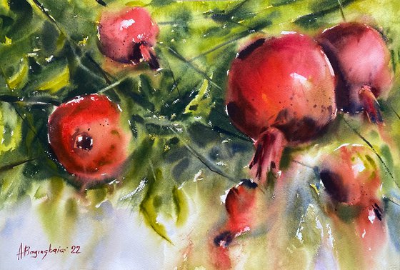 pomegranate 2