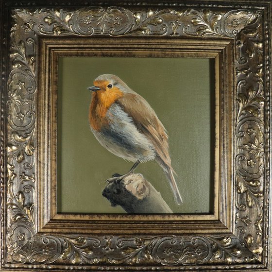 Lockdown's Morning Chorus Series - Red Robin, Bird Artwork, Animal Art Framed