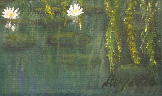 Lily pond