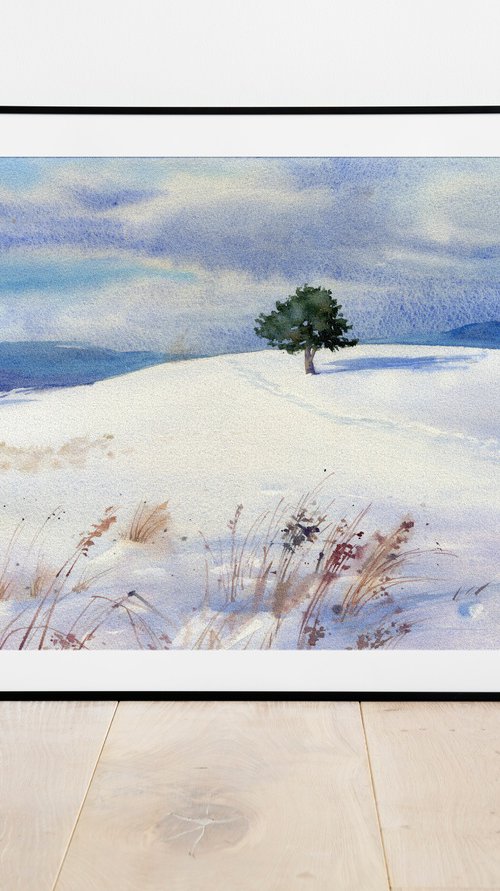 Sunny winter day. Lonely pine tree on a snowy field by SVITLANA LAGUTINA