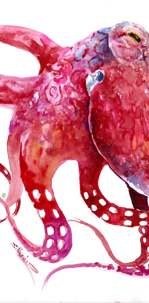 Bright Pink Octopus by Suren Nersisyan