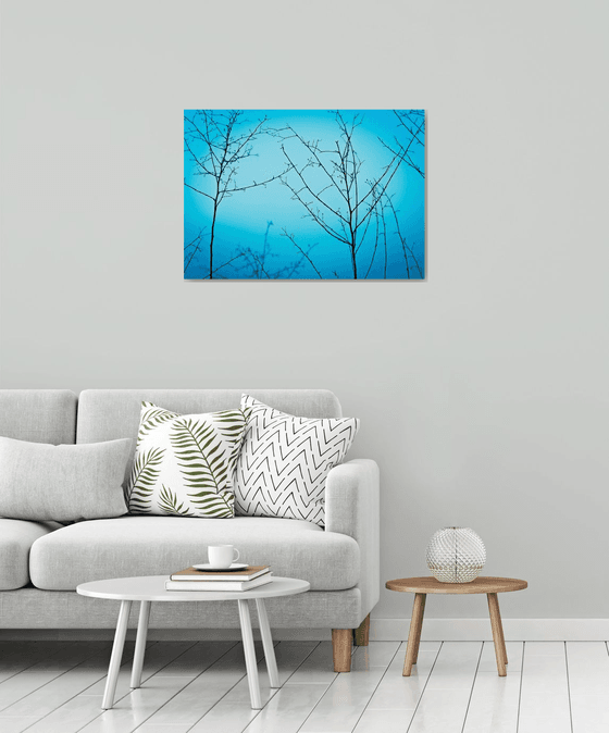 Twilight in the outdoors | Limited Edition Fine Art Print 1 of 10 | 75 x 50 cm