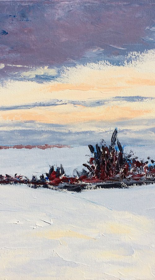 Winter fields, # 149 by Jules Morissette