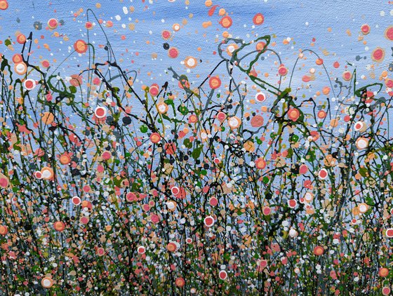 Popping Coral Meadows