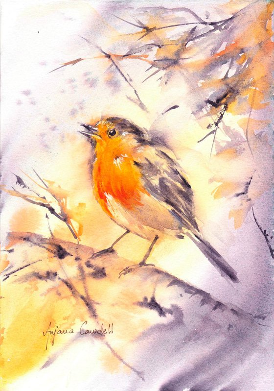 Robin Watercolour Painting, Bird painting, Robin fledgling,