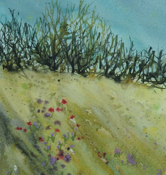 Cornish Hedgerow