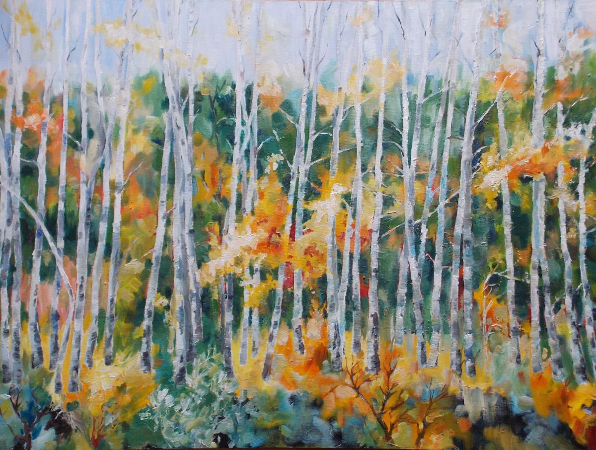 In The Autumn Forest By Yurii Pashkov, 31 X 24, Artwork For Sale On Artfinder