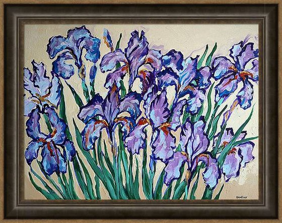 Irises on Cream