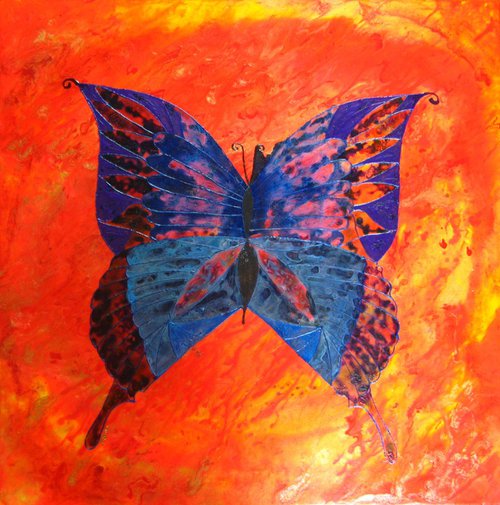 Vibrant butterfly by Fiona J Robinson
