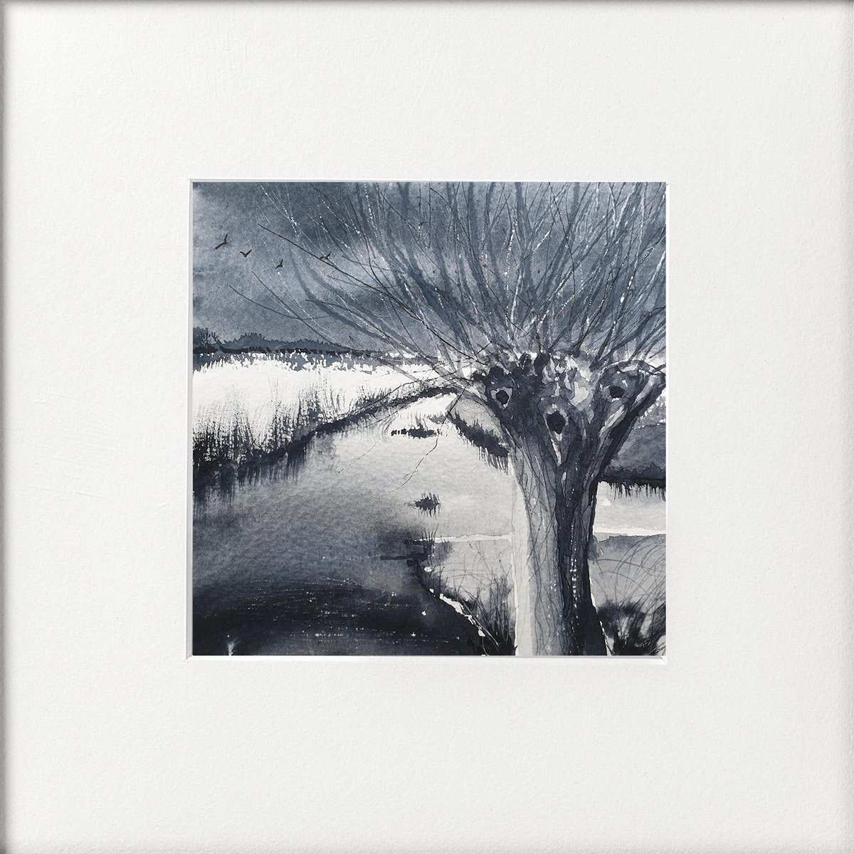 Monochrome - Winter Pollarded Willow by Teresa Tanner