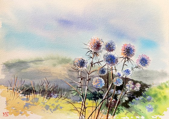 Thistles of Galilee