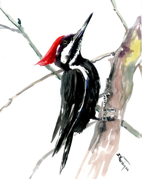 Pileated Woodpecker by Suren Nersisyan