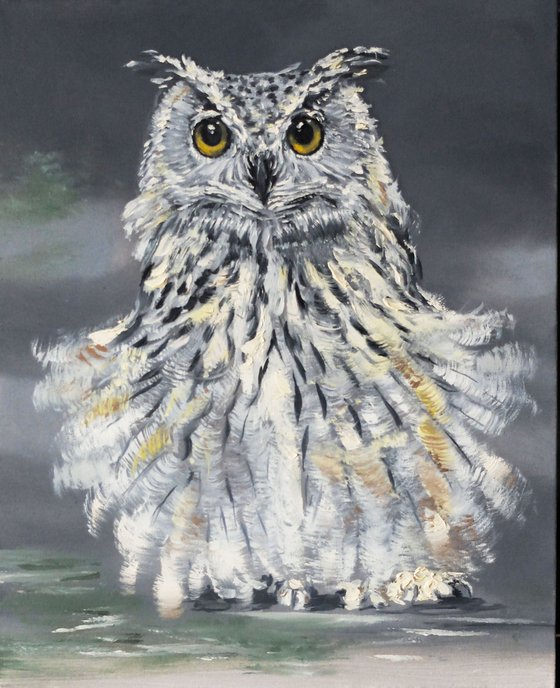 Owl Patriсia
