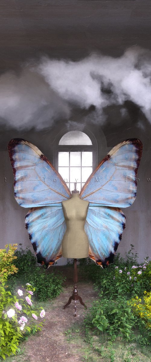 Butterfly Effect by Tony Fowler