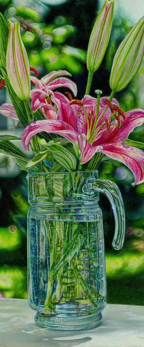 Apologetic by Melissa Tobia