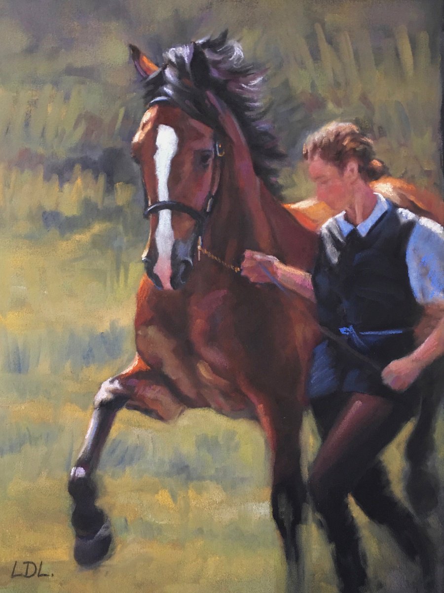 Trotting Up Welsh Cob Stallion Show Horse by Lorna Lancaster ASEA