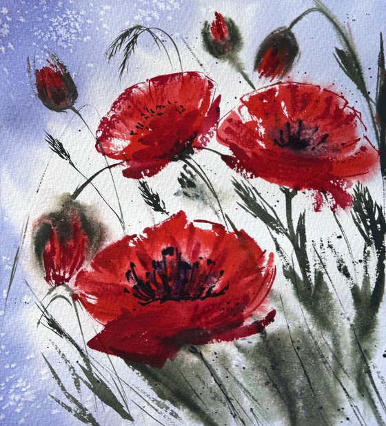 Red Wild Poppies